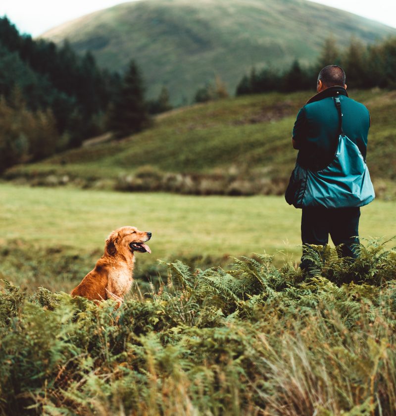 Maddison Husband Feature Photo: a man with his back to the camera standing in a field with his dog.