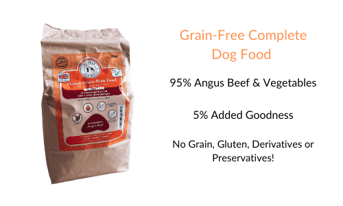 Grain-Free Complete Dog Food: Angus Beef Advertisement