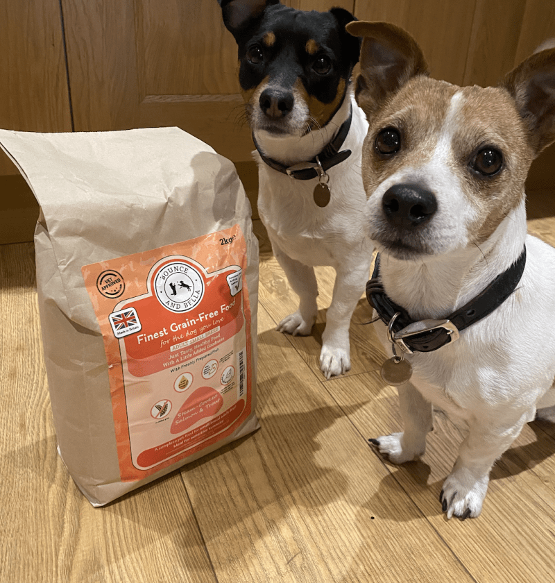 Rambo and Oscar, two jack Russell terriers standing next to a bag of grain-free dog food