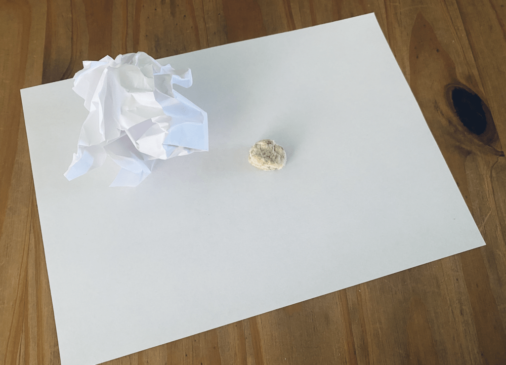 A white sheet of paper on a table, a whitefish and potato cookie lying in the centre for the treats and paper game