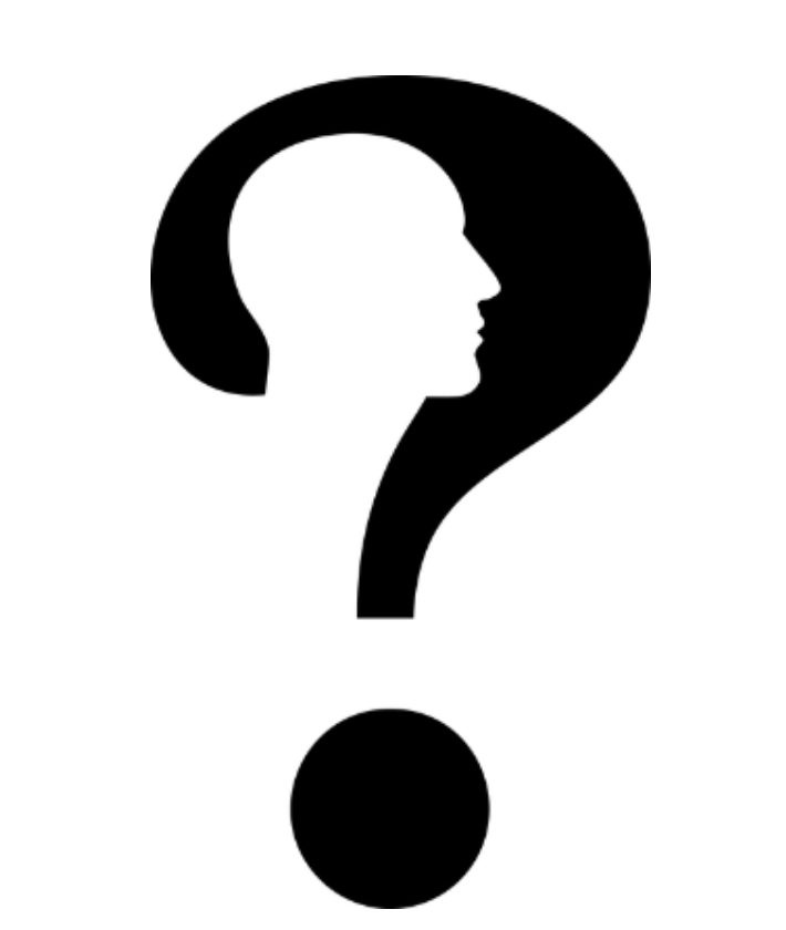 Bounce and Bella News Update: a question mark with the silhouette of a person's head in the curve of the question mark.