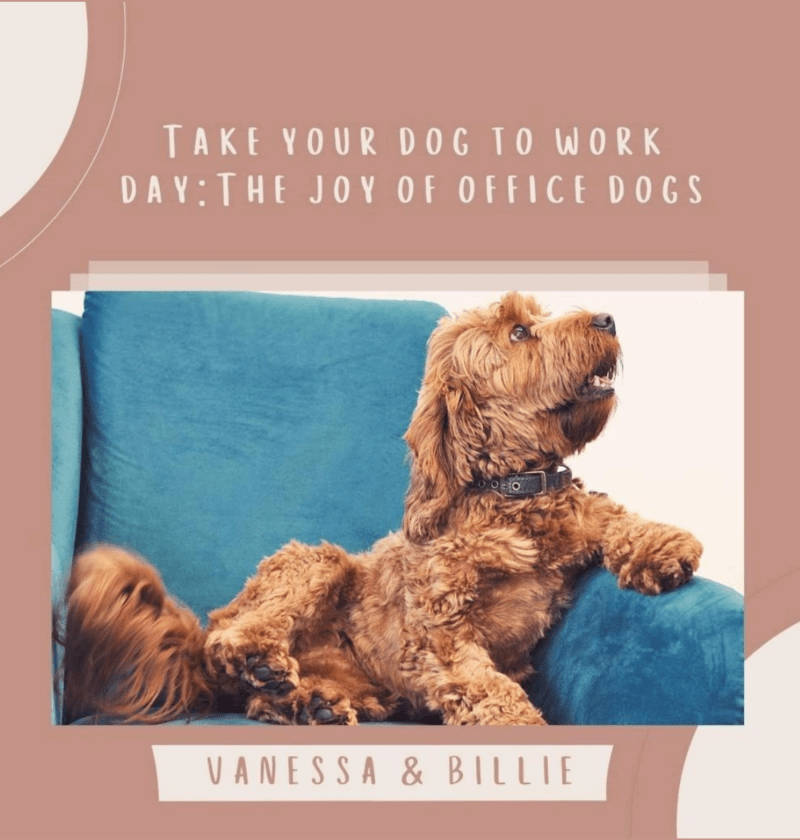 Live with WeAreAdam: The Joys of Office Dogs