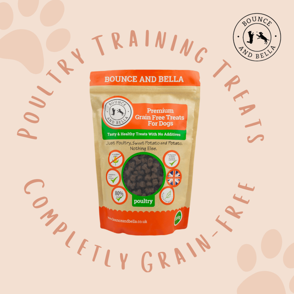 What are Animal Derivatives, and why are they AWFUL? Bounce and Bella