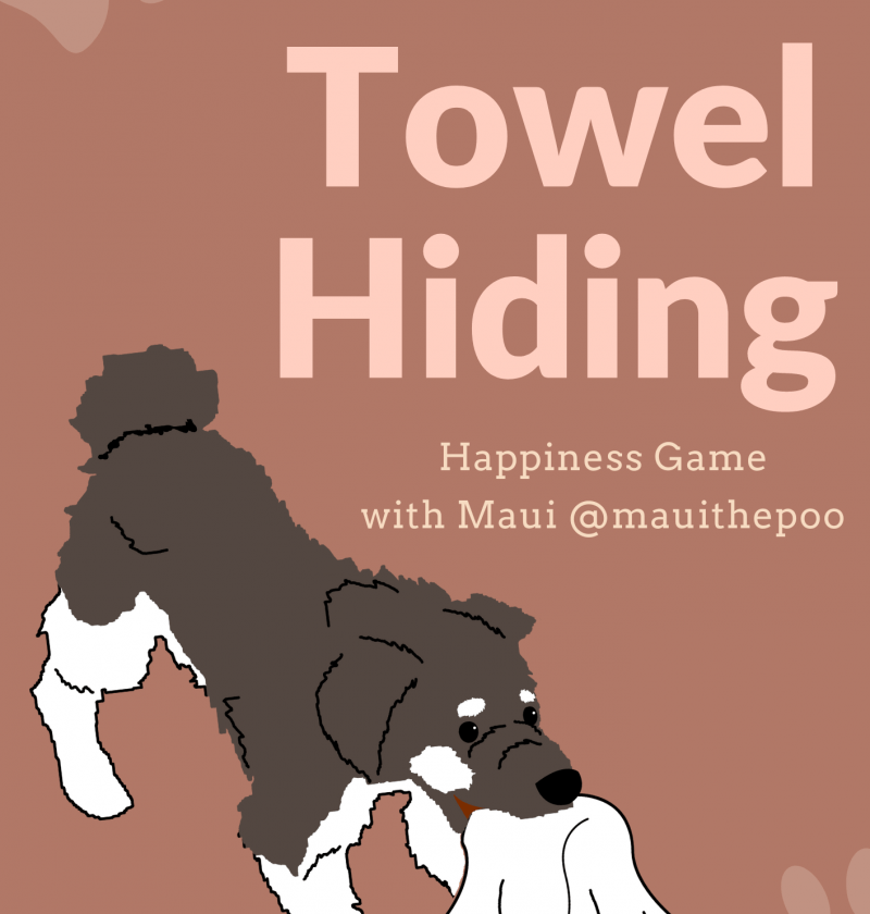 Towel Hiding – DIY games for Dogs