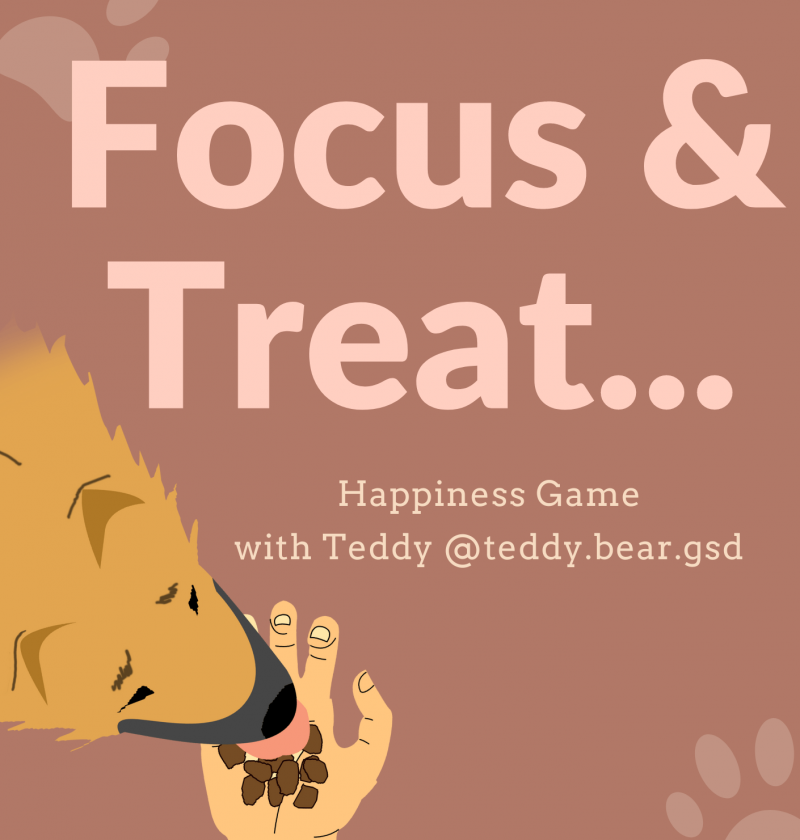 focus and treat happiness game teddy