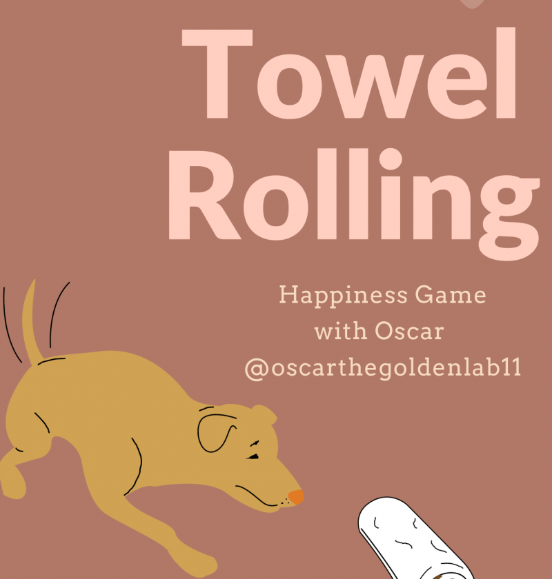 Towel Rolling Games for Dogs