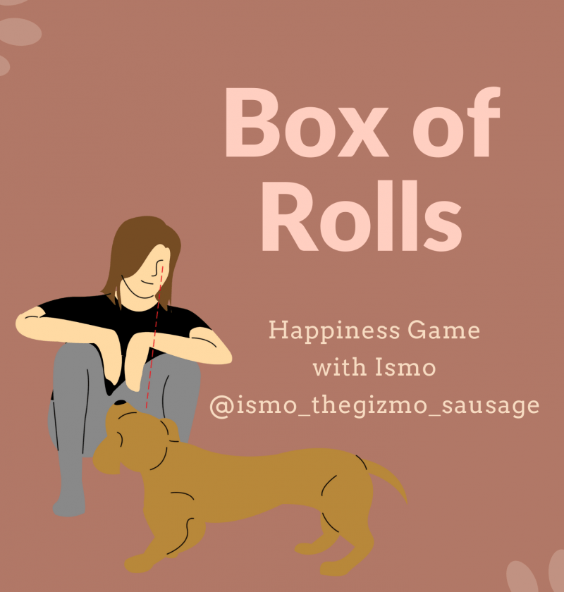 Box of Rolls - Games for Dogs