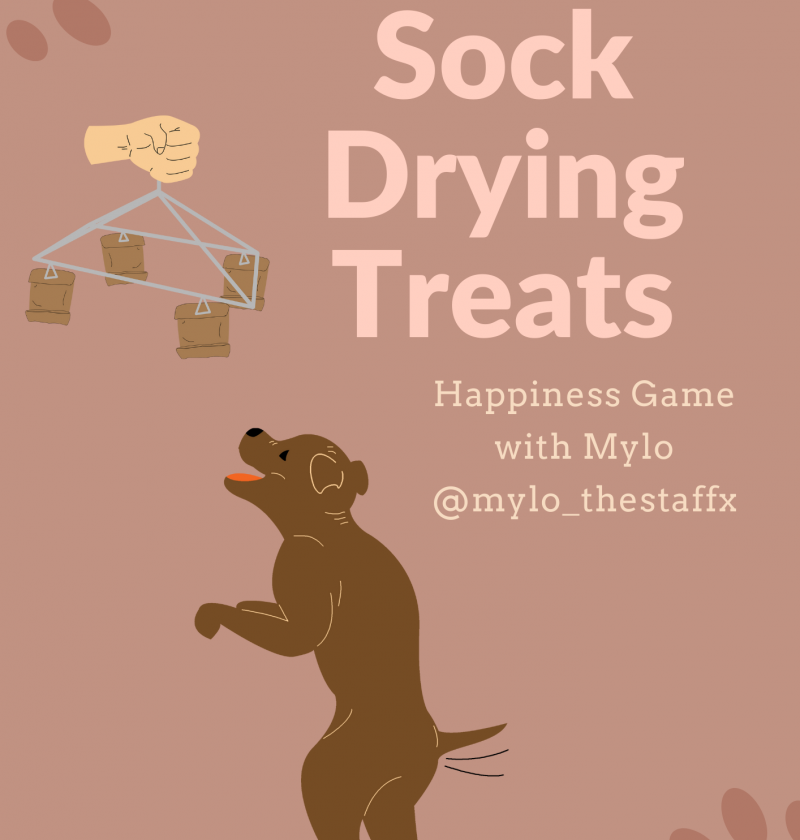 Sock Drying Treats… Happiness Games for Dogs
