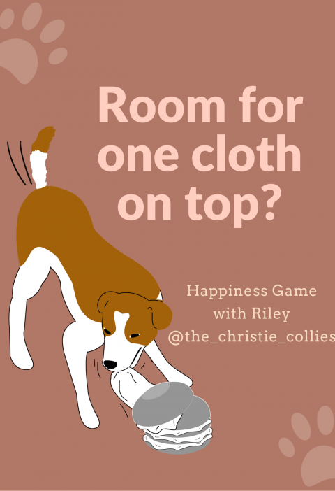 Room for One on Top? Happiness Games for Dogs