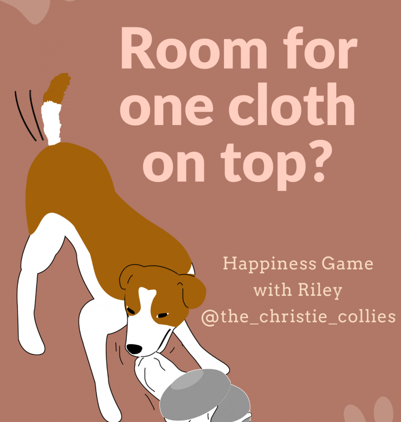 Room for One on Top? Happiness Games for Dogs