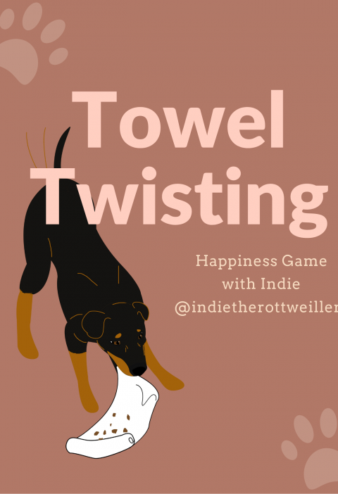 Towel Twisting… Happiness Games for Dogs