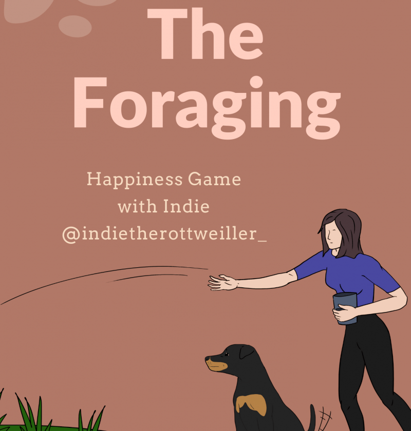 The Foraging Games for Dogs
