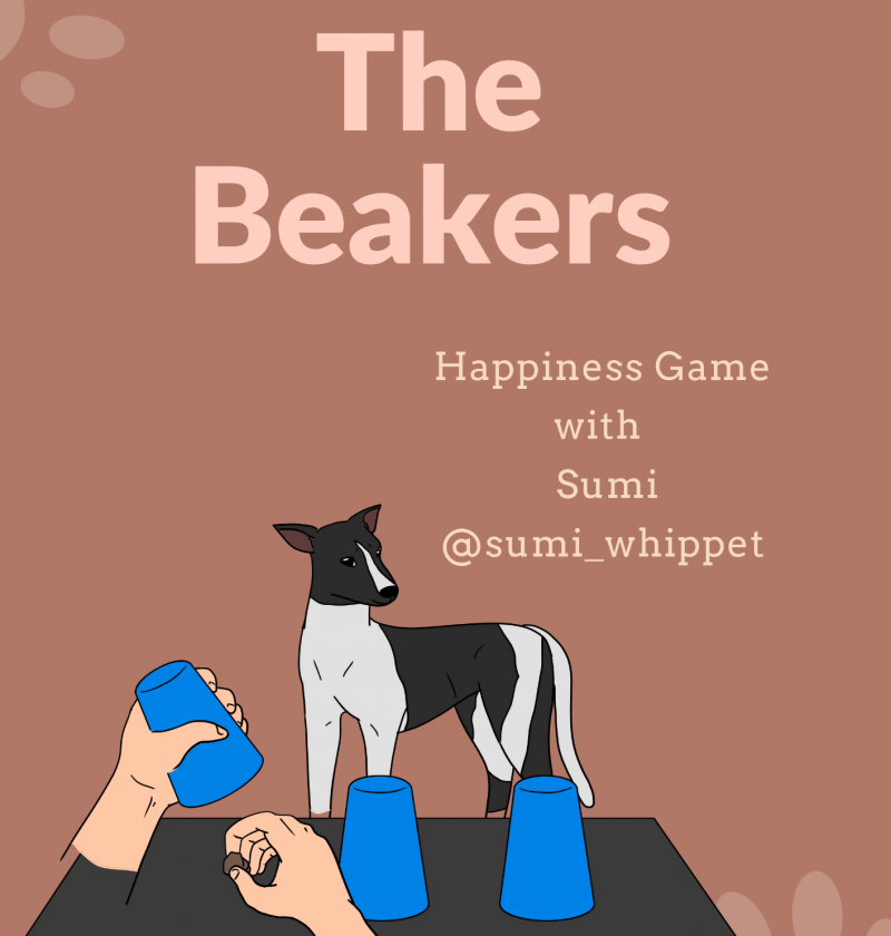 The Beakers - DIY Games for Dogs