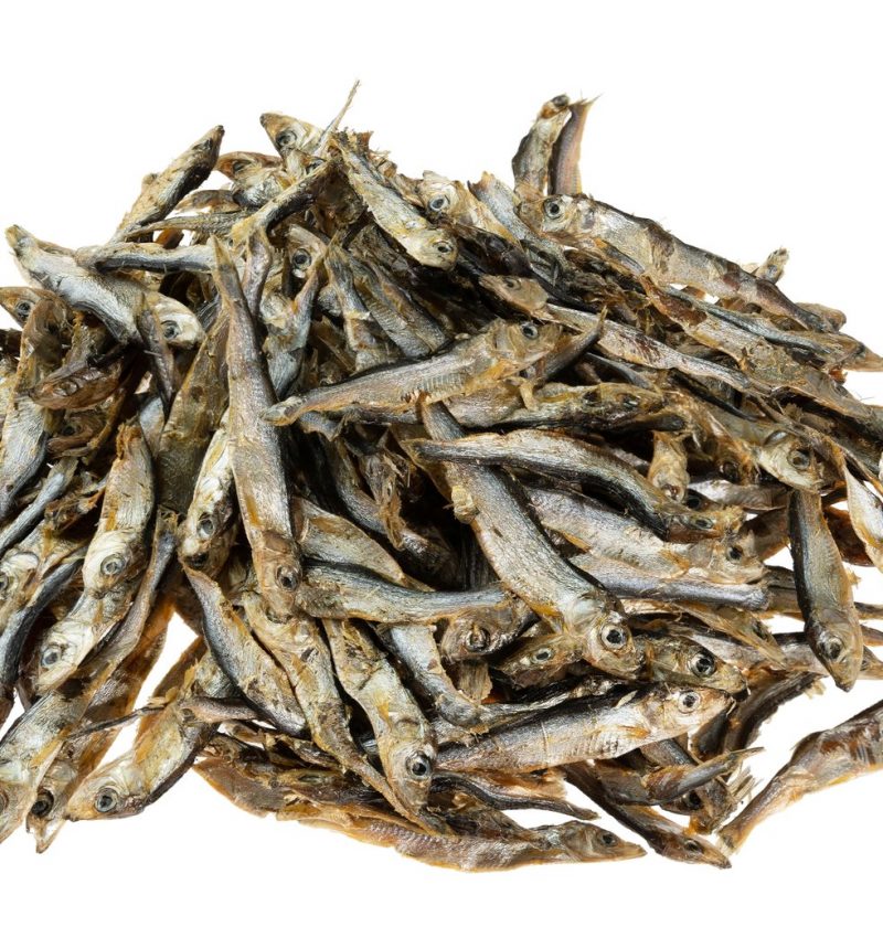 Sprats for dogs