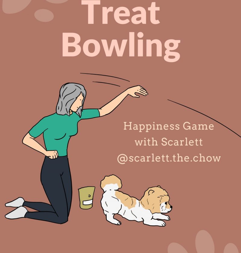Treat Bowling DIY Games for Dogs