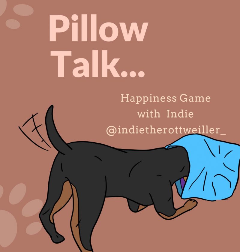 Pillow Talk DIY Games for Dogs