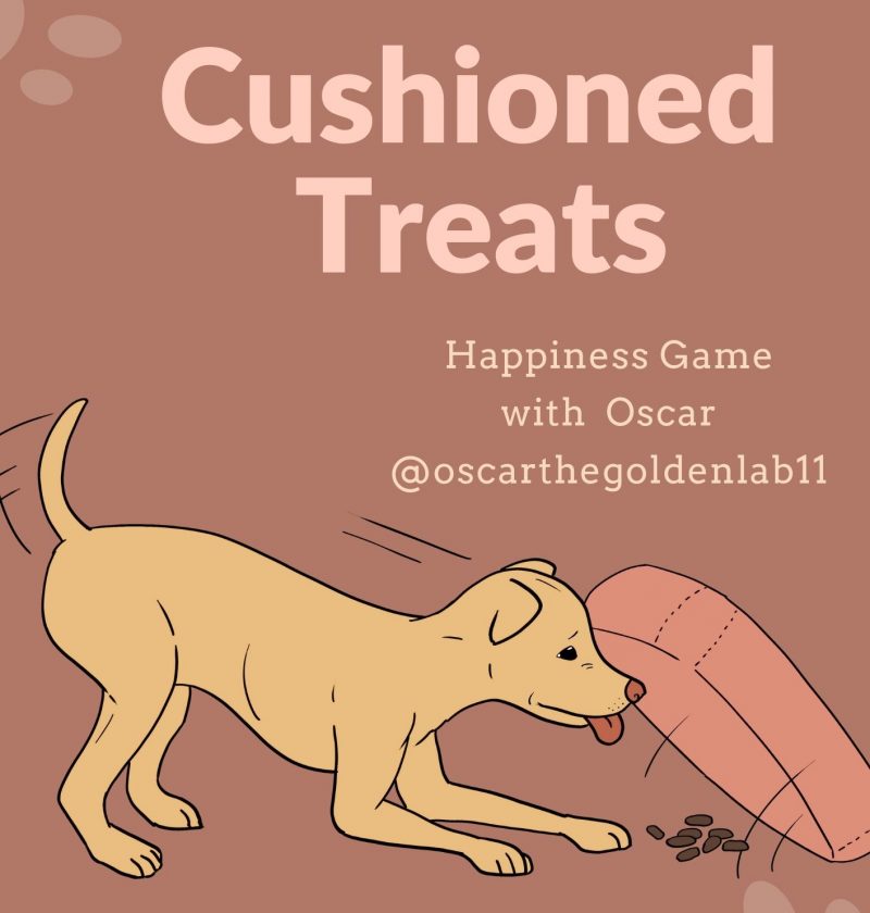 Cushioned-Treats DIY Games for Dogs