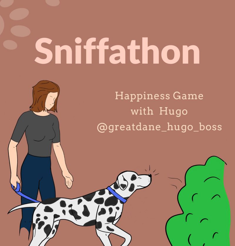 Sniffathon diy brain game for dogs