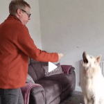 Loo Roll – Easiest Game for Dogs EVER