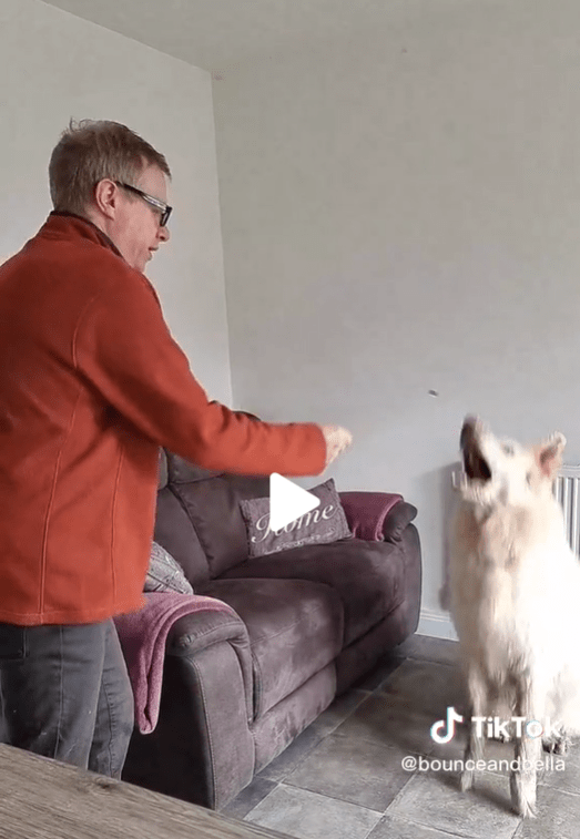 easy diy game for dogs focus and catch