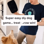 Treat Ball – Easy Games for Dogs