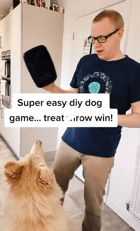 easy diy games for dogs treat throw win