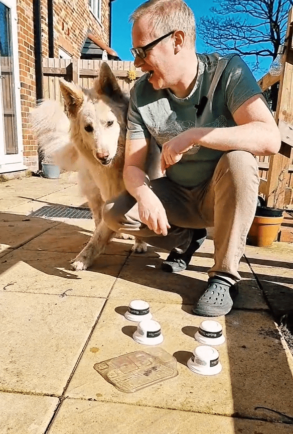 Pots of Treats DIY Games for Dogs - Bounce and Bella