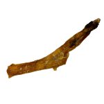 Venison Chews – Long-time Favourites…